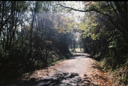 Óscar Roca —Camera Owner/Operator,DOP, Filmmaker.