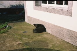 Óscar Roca —Camera Owner/Operator,DOP, Filmmaker.