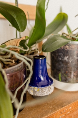 Óscar Roca —Camera Owner/Operator,DOP, Filmmaker.