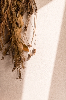 Óscar Roca —Camera Owner/Operator,DOP, Filmmaker.