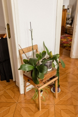 Óscar Roca —Camera Owner/Operator,DOP, Filmmaker.