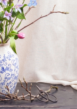 Óscar Roca —Camera Owner/Operator,DOP, Filmmaker.