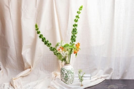 Óscar Roca —Camera Owner/Operator,DOP, Filmmaker.