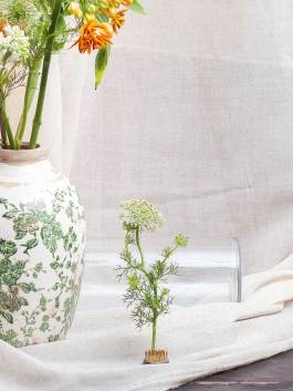 Óscar Roca —Camera Owner/Operator,DOP, Filmmaker.