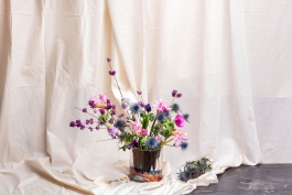 Óscar Roca —Camera Owner/Operator,DOP, Filmmaker.