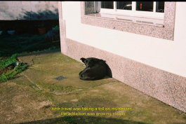 Óscar Roca —Camera Owner/Operator,DOP, Filmmaker.